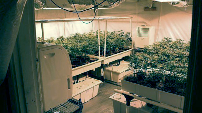 ohio marihuana.jpg